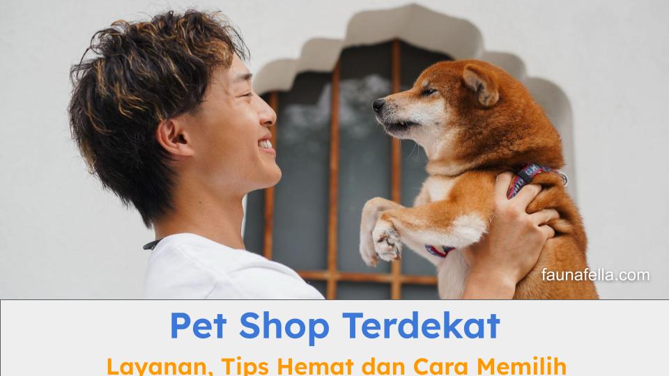 PBJ 2026: The Secret Behind Proactive Tendering at Cilacap's OPDs